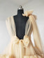 Champagne Photo Shot Dress/Ready to ship