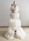 Cream Tulle Photo Shoot Dress
